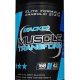 muscle-transform-168-gelules